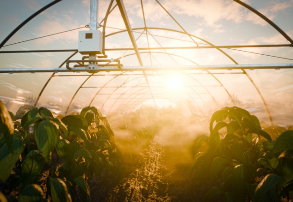 מערכות אקלים חכמות לחקלאות ותעשייה